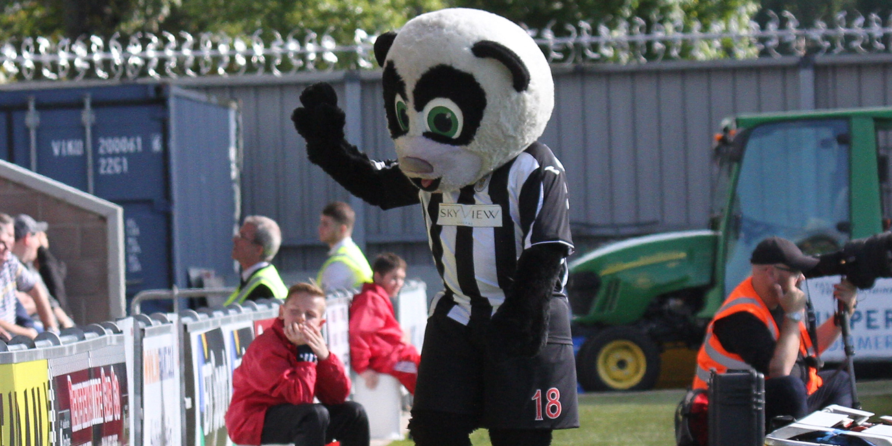 Paisley Panda goes guising!